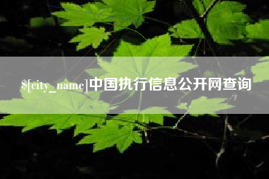 宁夏中国执行信息公开网查询