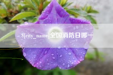 宁夏全国消防日哪一
