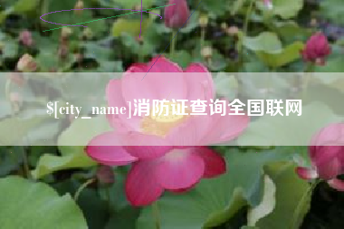 宁夏消防证查询全国联网