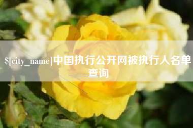 宁夏中国执行公开网被执行人名单查询