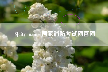 宁夏国家消防考试网官网