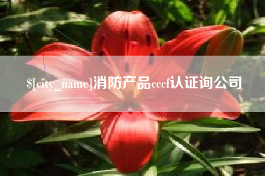 宁夏消防产品cccf认证询公司