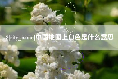 宁夏中国地图上白色是什么意思