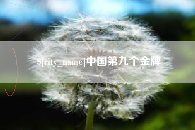 宁夏中国第九个金牌