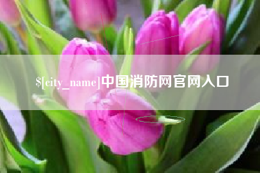 宁夏中国消防网官网入口