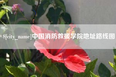 宁夏中国消防救援学院地址路线图
