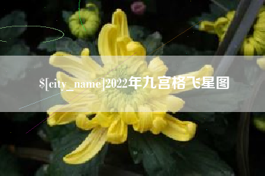 宁夏2022年九宫格飞星图