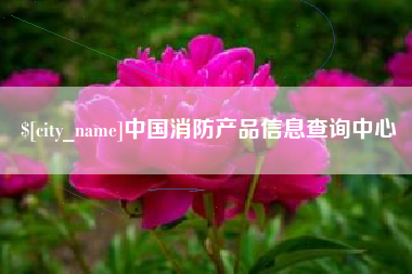 宁夏中国消防产品信息查询中心