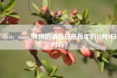 宁夏我国的消防日是每年的11月9日对吗？