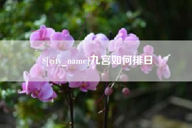 宁夏九宫如何排日