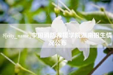 宁夏中国消防救援学院湖南招生情况公布