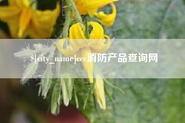 宁夏ccc消防产品查询网