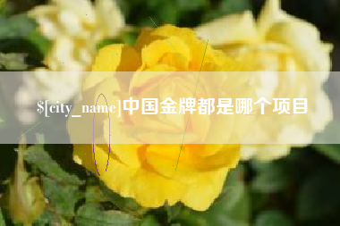 宁夏中国金牌都是哪个项目