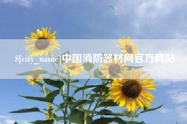 宁夏中国消防器材网官方网站