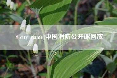 宁夏中国消防公开课回放