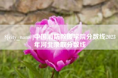 宁夏中国消防救援学院分数线2023年河北录取分数线