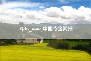 宁夏中国夺金海报