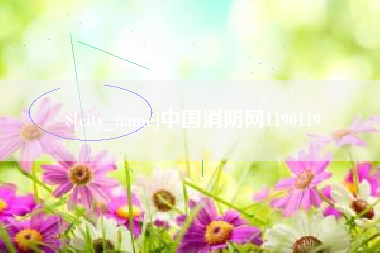 宁夏中国消防网1190119