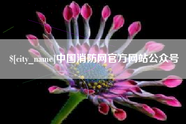 宁夏中国消防网官方网站公众号