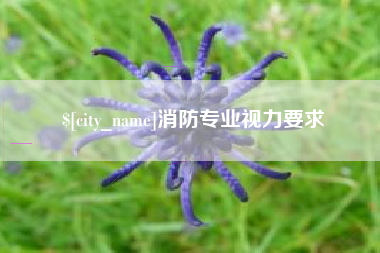 宁夏消防专业视力要求