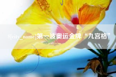 宁夏第一波奥运金牌“九宫格”