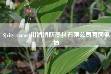 宁夏川消消防器材有限公司官网电话