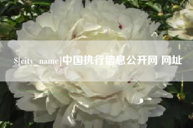 宁夏中国执行信息公开网 网址