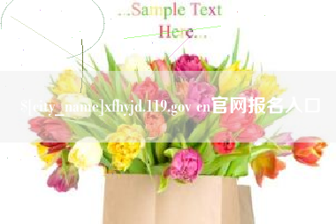 宁夏xfhyjd.119.gov cn官网报名入口