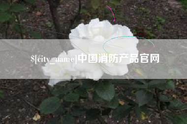 宁夏中国消防产品官网