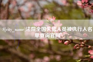 宁夏法院全国失信人员被执行人名单查询官网