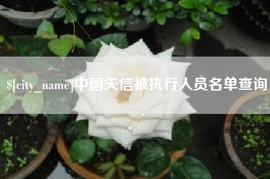 宁夏中国失信被执行人员名单查询