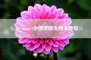 宁夏中国地图全图手抄报75