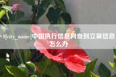 宁夏中国执行信息网查到立案信息怎么办