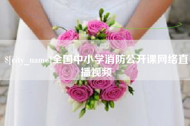 宁夏全国中小学消防公开课网络直播视频