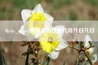 宁夏我国消防日是几月几日几日