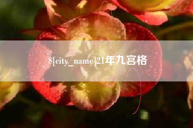 宁夏21年九宫格