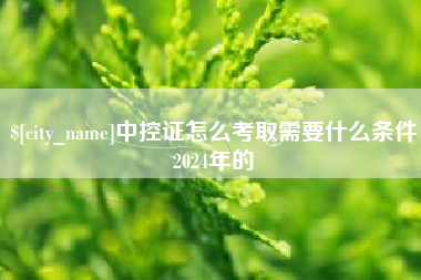 宁夏中控证怎么考取需要什么条件2024年的