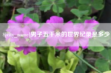 宁夏男子五千米的世界纪录是多少