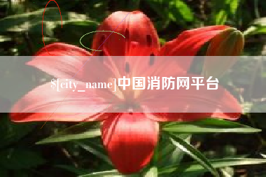 宁夏中国消防网平台