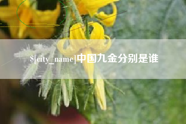 宁夏中国九金分别是谁