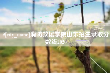 宁夏消防救援学院山东招生录取分数线2020