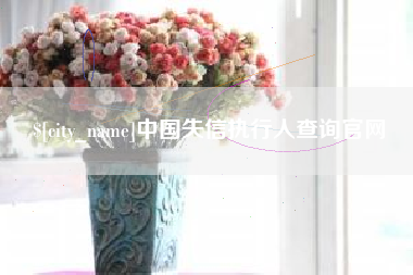 宁夏中国失信执行人查询官网