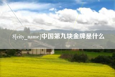 宁夏中国第九块金牌是什么