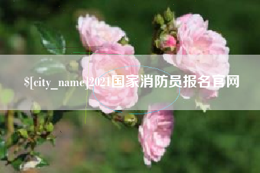 宁夏2021国家消防员报名官网