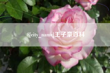 宁夏王子豪百科