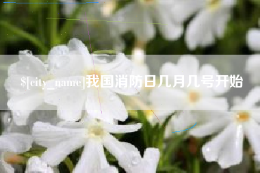 宁夏我国消防日几月几号开始
