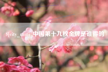 宁夏中国第十九枚金牌是谁得的