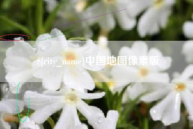 宁夏中国地图像素版