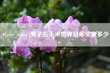 宁夏男子五千米世界冠军奖金多少