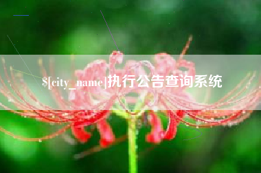 宁夏执行公告查询系统